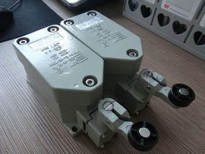 BZX51 D滾輪單搖臂式防爆限位開關 工業安全的關鍵傳感器